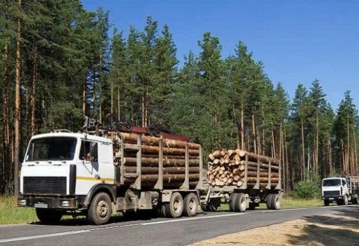 Лесовоз Лесовозы для перевозки леса, аренда и услуги. взять в аренду, заказать, цены, услуги - Тольятти