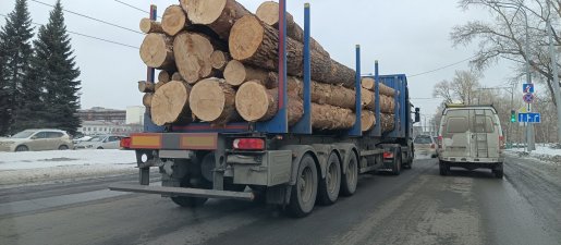 Поиск транспорта для перевозки леса, бревен и кругляка стоимость услуг и где заказать - Самара